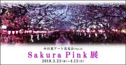 2018 Sakura Pink DM 内容データ.jpg
